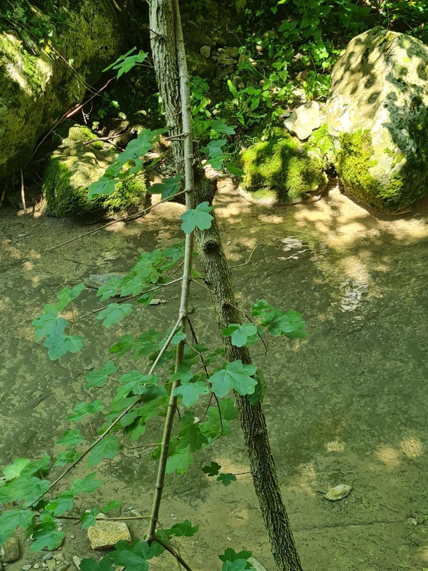 Alloggio Petrigh Canal di Grivo Bagian luar foto
