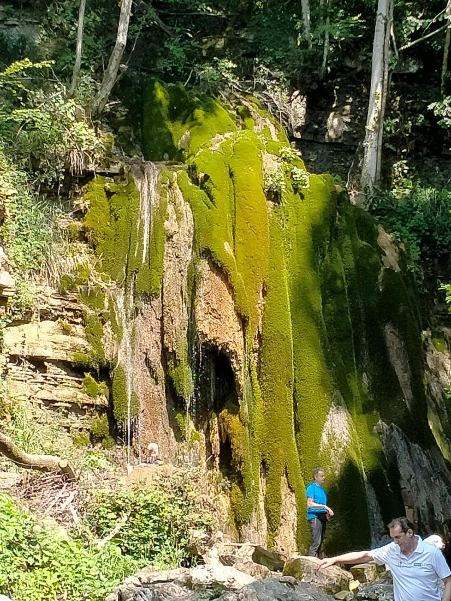 Alloggio Petrigh Canal di Grivo Bagian luar foto